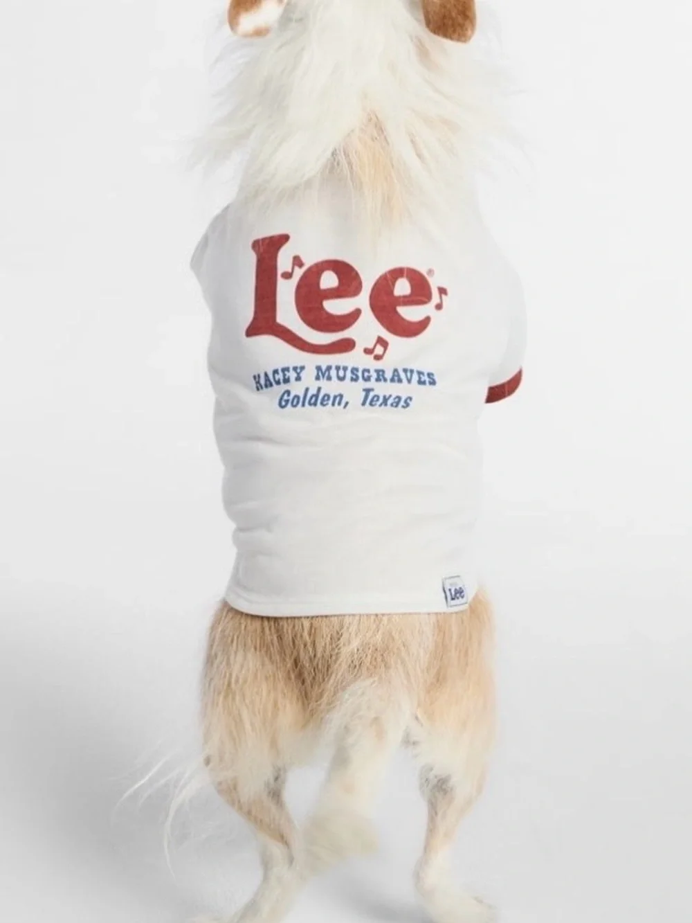 Kacey Lee Music Note Golden Texas Pet Tee for Cats and Dogs,Small